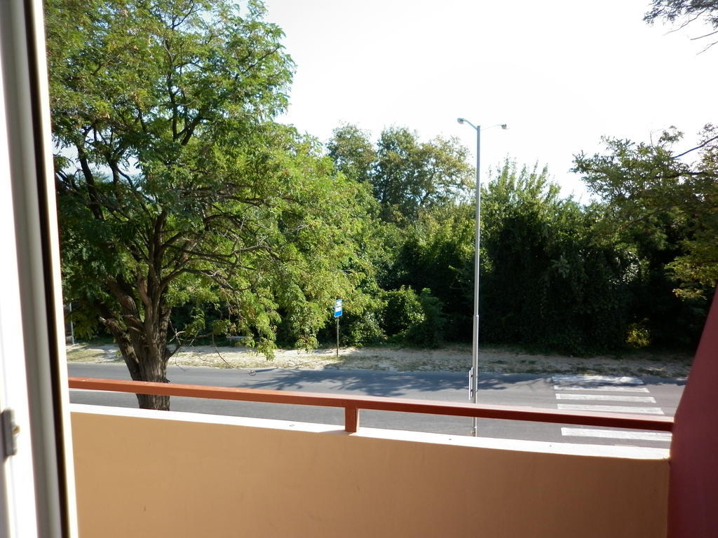 Ivanova Cheshma Guest House 바르나 객실 사진